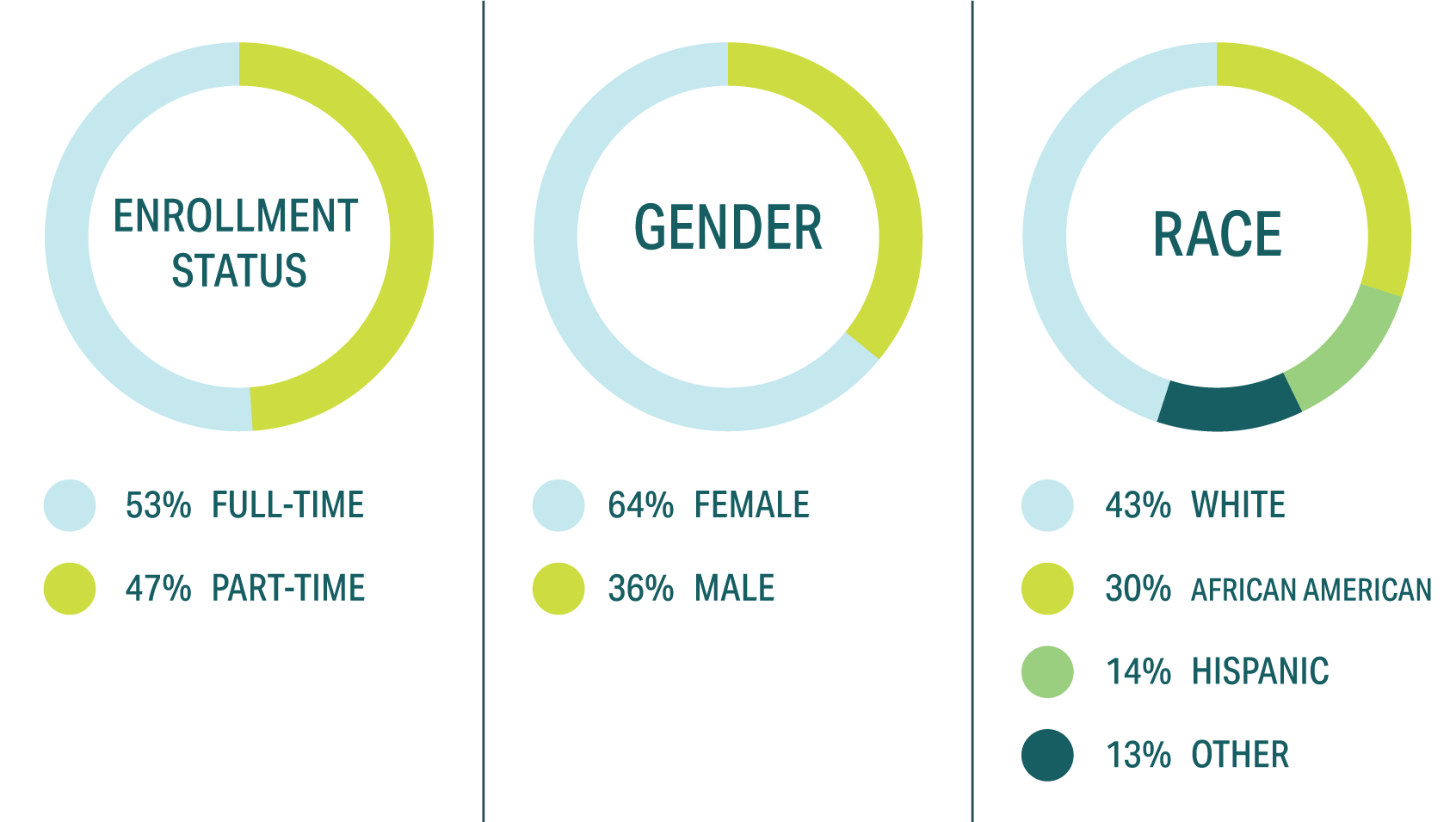 51% part-time, 49% full-time, 63% female, 37% male, 51% white, 29% black, 13% hispanic, 7% other